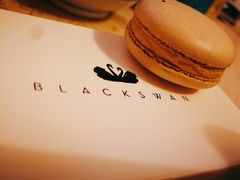 -BLACKSWAN黑天鹅(环球店)
