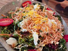 金枪鱼樱花虾沙拉配芝麻酱-Cyclus Craft Kitchen薩克思手工厨房