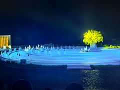 -鼎盛王朝康熙大典实景演出