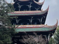 -望江楼公园