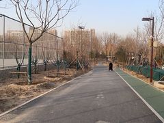 -回龙观体育文化公园