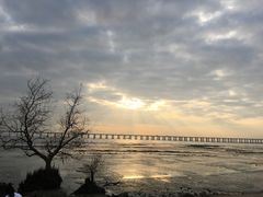 -宝安西湾红树林湿地公园