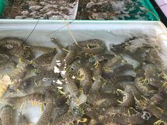 -拉威海鲜市场
