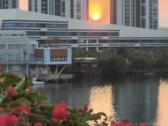 -厦门园林博览苑