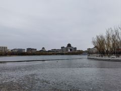 -莲花池公园