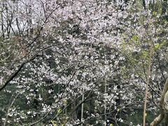 -杭州黄龙洞
