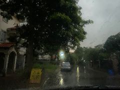 -三水森林公园