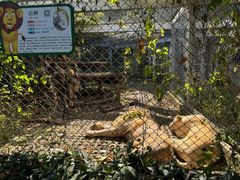 -合肥野生动物园