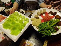 -蜀九香火锅(彩虹店)