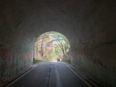 -东湖磨山景区
