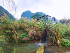 -靖西鹅泉风景区
