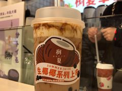 生椰冻奶茶-树夏(建设路店)