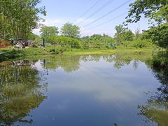 -桤木河湿地公园