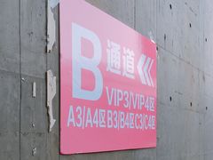 -南京奥林匹克体育中心-体育馆