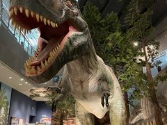 -湖南省地质博物馆