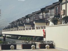 -大唐贡茶院