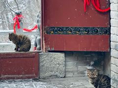 -终南山南五台景区