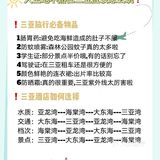 🌟人生地不熟❗️在三亚🌴应该怎么玩