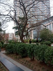 -河南中医药大学第一附属医院·皮肤美容