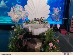 -烟台海昌鲸鲨海洋公园
