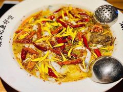 藤椒黄菊酸菜鱼-太二酸菜鱼(中庚漫游城店)