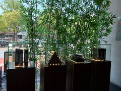 -新紫霞养生·影院足道·SPA(金山区店)