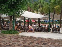 -重庆海昌加勒比海水世界