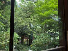 -十八棵（老龙井）御茶园(老龙井店)