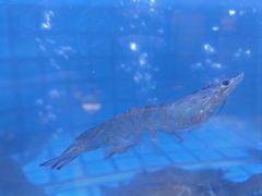 -徐记海鲜(大雁塔|金都店)