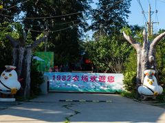 -1982农场