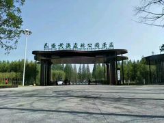 -黄海国家森林公园