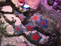 -沈阳海洋探索中心