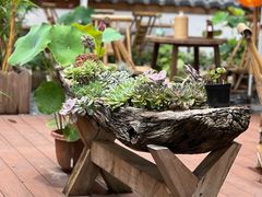 -伴山茶苑·一盏冰茶·半日山居