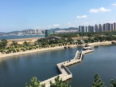 -莫内艺术岛海景咖啡