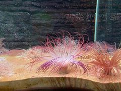 -秦皇岛新澳海底世界