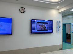 -北京观赏动物医院·24小时大型综合·猫专科·异宠专科