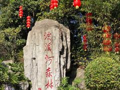 -广州市流溪河国家森林公园