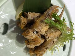 -宝燕壹号(徐汇店)