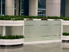 -肯德基(白云机场一号航站楼四店)