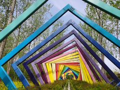 -合肥滨湖国家森林公园