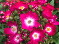 -绝味鸭脖(武昌火车站二店)