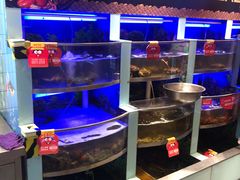 水产区-七欣天香辣蟹火锅(南京建宁路大观天地店)
