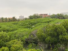 -霞山观海长廊