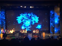 -美育儿童音乐舞蹈国际机构(浦东分校)