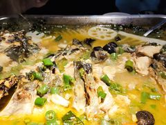 -鱼酷活鱼烤鱼(昆明路店)