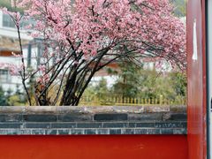-塔尔寺游客服务中心