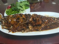 -金台阶鱼馆(于桥水库店)