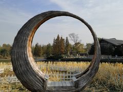 -西山漾湿地公园