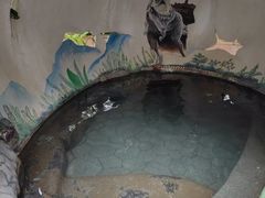 -河源客天下-温泉小镇