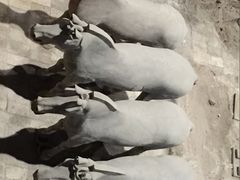 -骏途旅游